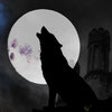 Icon of program: Online Werewolf X