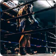 Icon of program: Boxing Wallpapers