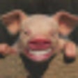 Icon of program: 1500+ Funny Pictures Free…
