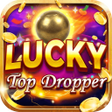 Icon of program: Lucky Top Dropper