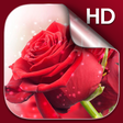 Icon of program: Red Roses Live Wallpaper …