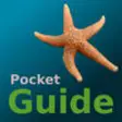 Icon of program: Pocket Guide UK Seashore