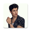 Icon of program: Shawn Mendes Stickers for…