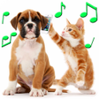 Icon of program: Animal Ringtones
