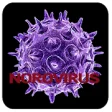 Icon of program: Norovirus Disease