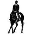 Icon of program: Dressage Memoriser
