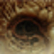Icono de programa: Scorn - Part 1 of 2 : Das…