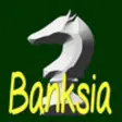 Icon of program: Banksia - Big Chess datab…