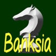 Icon of program: Banksia - Big Chess datab…
