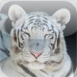 Icono de programa: Animal Pictures