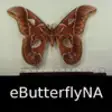 Icon of program: Butterflies & Moths of No…
