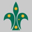 Icono de programa: Scouts Oz