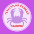 Icon of program: Testicular Cancer Staging