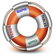 Icono de programa: SAP PM Guide