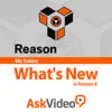 Icon of program: AV for Reason 100 - What'…