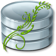 Icon of program: Data Cleansing