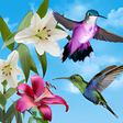 Icon of program: Birds Live Wallpaper