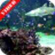 Icon of program: Video Wallpaper: Aquarium