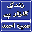 Icono de programa: Zindagi Gulzar Hai By Ume…
