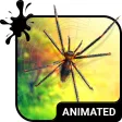Icon of program: Spider Animated Keyboard …