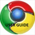 Icon of program: Google Chrome Browser Use…