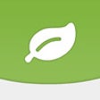 Icon of program: Vato Leaf - Envato Sales …