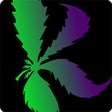 Kushy - Delivery & Info icon