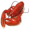 Icon of program: Maine Lobster Shacks