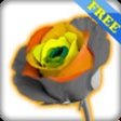 Icono de programa: Photo Magic free