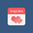 Icon of program: SnapLikesPro for Windows …