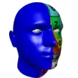 Icon of program: d3D Sculptor - 3D modelin…