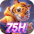Icono de programa: 75HBond