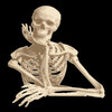 Human Anatomy! icon
