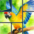 Icono de programa: Jigsaw Solitaire Sort Puz…