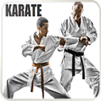 Icono de programa: Karate