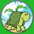 Icon of program: beautiful turtle for kids…