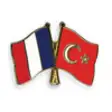 Icon of program: French/Turkish Word Test