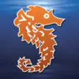 Icon of program: Sea King Seafood Markets