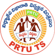 Icon of program: PRTU TS