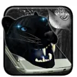 Icon of program: Black Panther 3D Theme