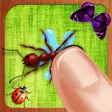 Icon of program: Tap Tap Ants - Ant & Cock…