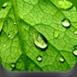 Icon of program: Ambience HD