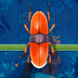 Icon of program: Beetle Parking Match
