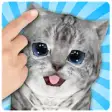 Icon of program: Talking Cat Funny Kitten …