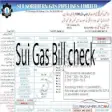 Icon of program: Sui Gas bill check online