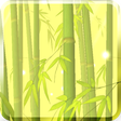 Icono de programa: Bamboo Forest Donation