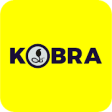 Icon of program: KobraAuto