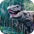 Icon of program: Dinosaur Live Wallpaper (…