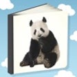 Icon of program: Picture Book For Toddlers
