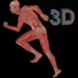 Icon of program: Human Body 3D for iPad